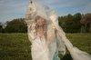 47/12 IMG_2457 kim site.jpg